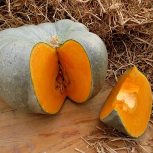 Pumpkin seeds Big Gray. Large packaging