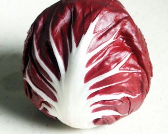 Chicory Iceberg Palla Rossa Vegetable Seeds#672