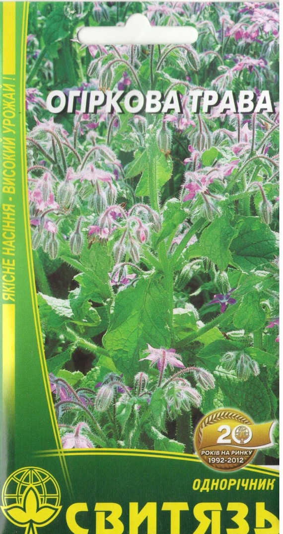 Seeds & Seed Bombs Borage Cucumber Grass Seeds Herb Borago Officinalis ...