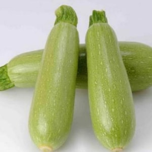 Könnte beinhalten: Drei grüne Zucchini, zwei stehen aufrecht und eine liegt horizontal. Die Zucchini sind glatt und haben eine hellgrüne Farbe.