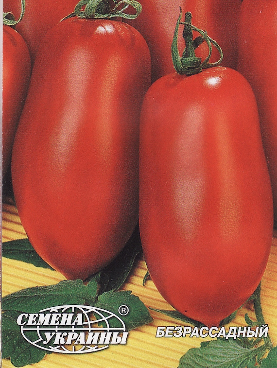 500 SEEDS Tomato Seeds Kibits Ukraine Heirloom Vegetable Seeds 500 SEEDS Tomato Seeds Kibits Ukraine Heirloom Vegetable Seeds