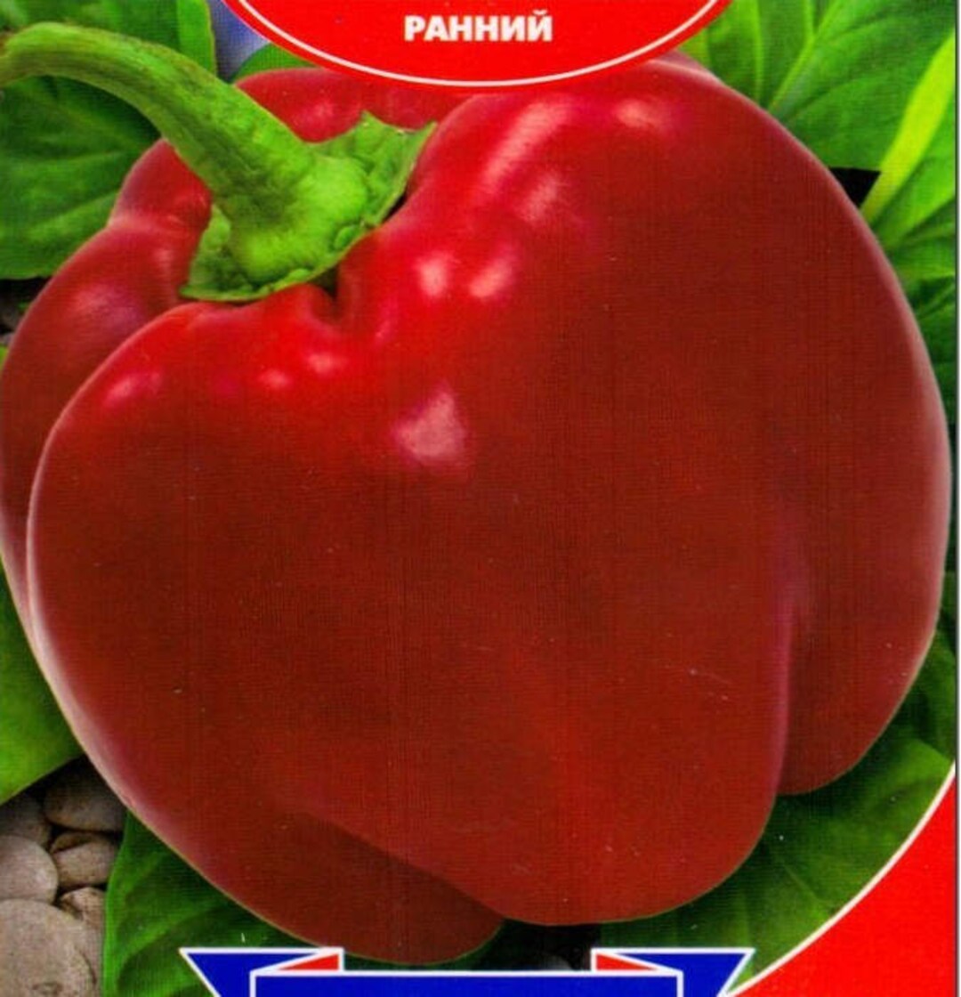 Sweet Pepper Seeds Supremo Rossa Ukraine Heirloom Vegetable Etsy
