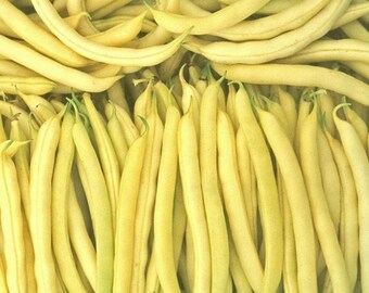 Puede incluir: Un montón de judías verdes amarillas, también conocidas como judías verdes, están dispuestas en una cesta. Las judías son largas y delgadas, de un color amarillo brillante.