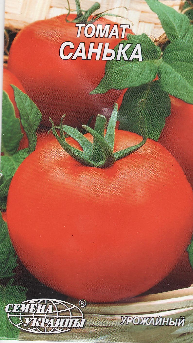 Tomato Vegetable Seeds Sanka From Ukraine Average Ultra Early Etsy