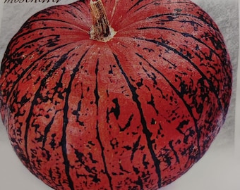 Semillas de calabaza rojas grandes paris