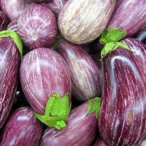 Aubergine Samen Matrosyk Bio Heirloom Gemüsesamen aus der Ukraine #485