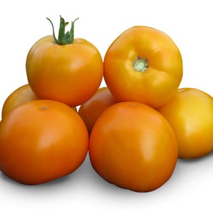 Tomato seeds Golden Queen