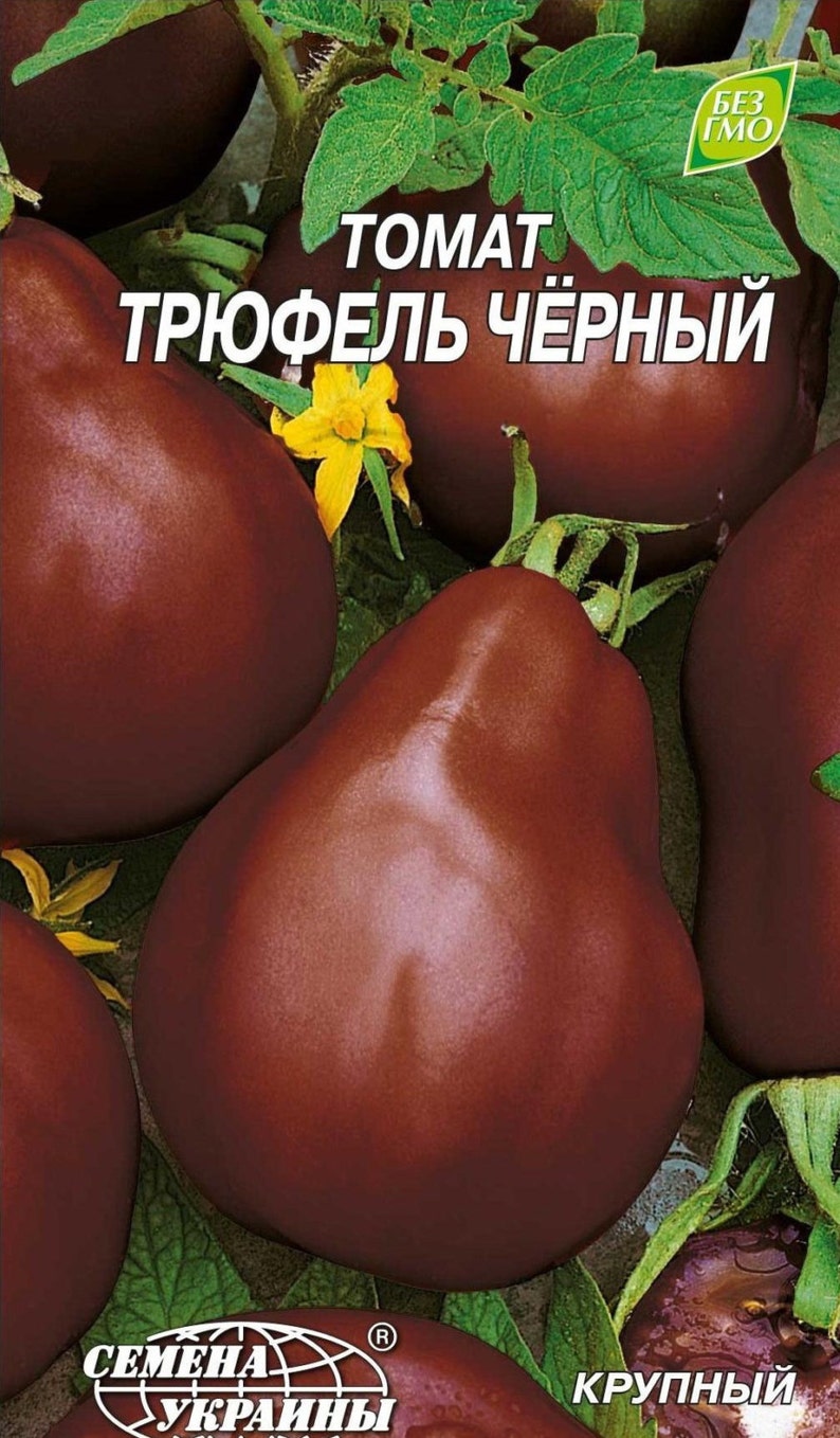 Tomato Seeds Black Truffle Ukraine Heirloom Vegetable Seeds. Etsy