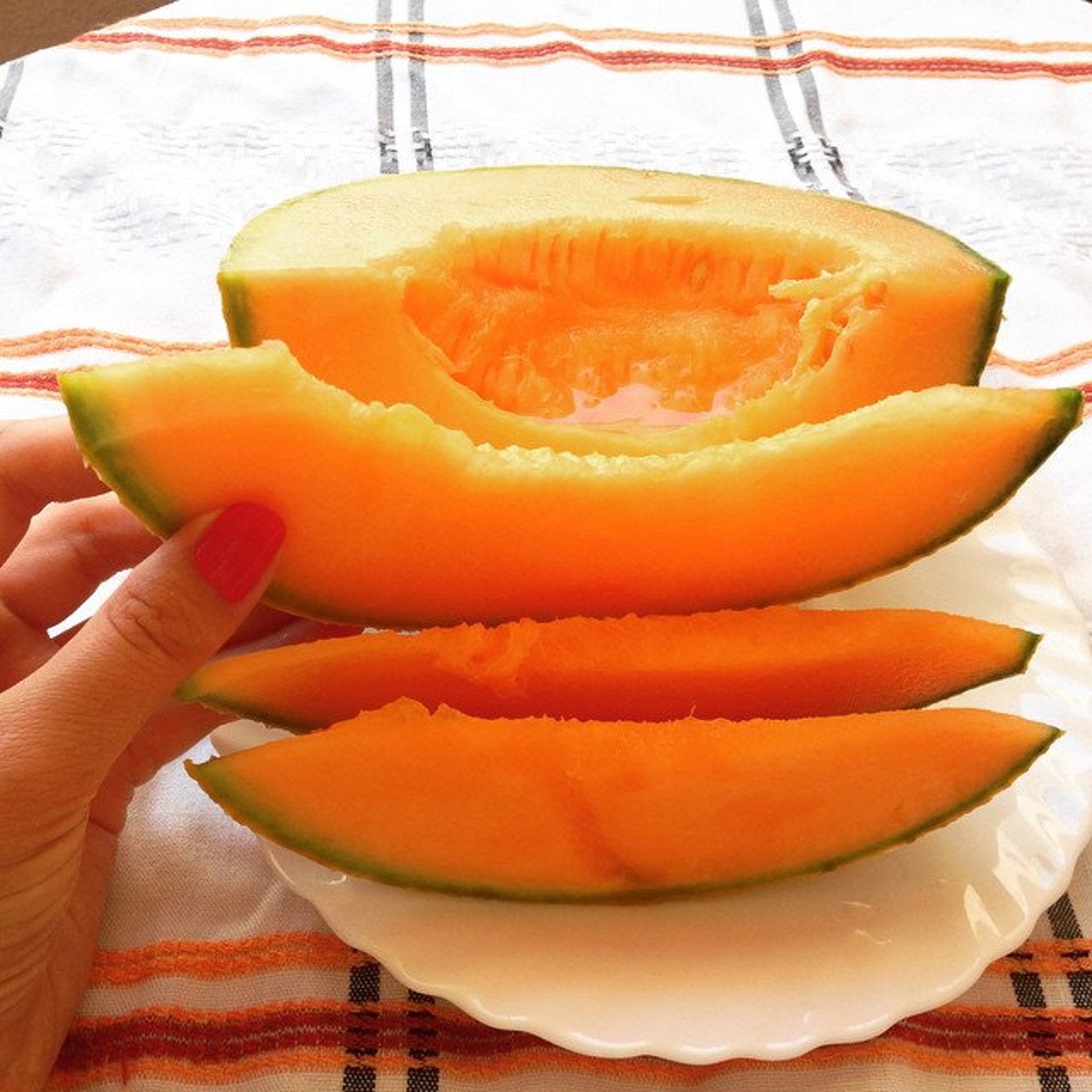Melon Seeds EMIR F1. Extremely Sweet Etsy