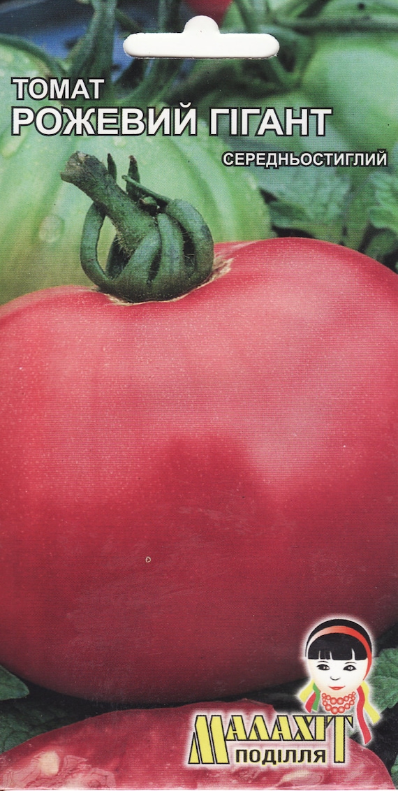 Semi Di Pomodoro Tres Cantos Giganti Rosa - Biologici, Confezione Da 2 Pacchetti (85 Semi Totali) - Foto 3