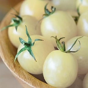 Tomatenzaden Kersenwit Oekraïne Heirloom Groente