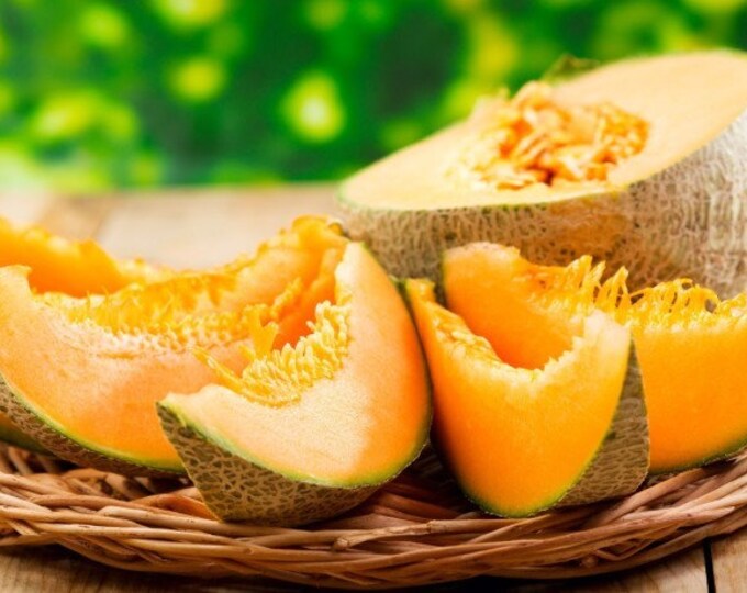 Melon Seeds EMIR F1. Extremely Sweet Etsy