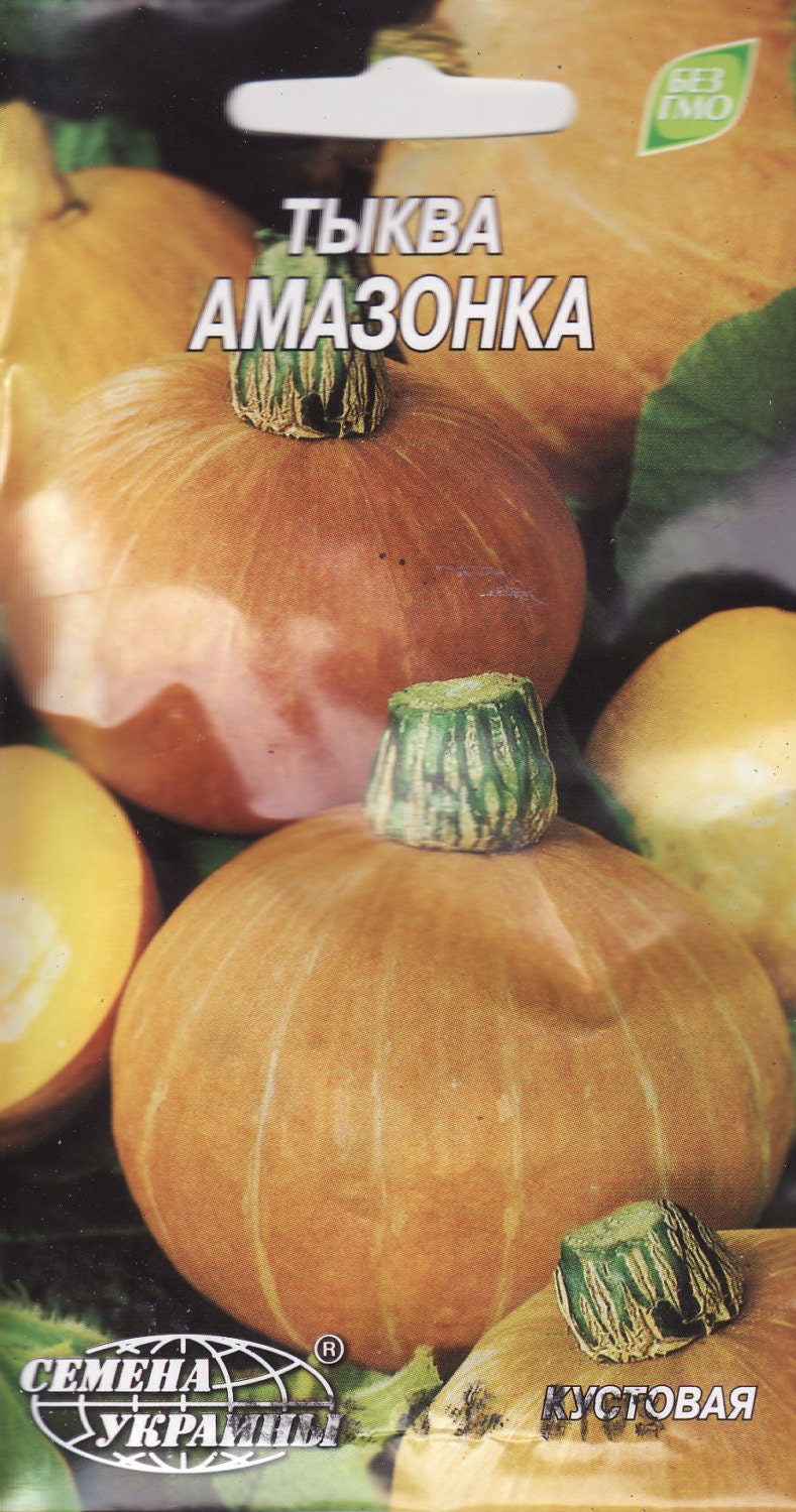 Seeds Pumpkin Amazon Organic Heirloom Vegetable Seed From Etsy