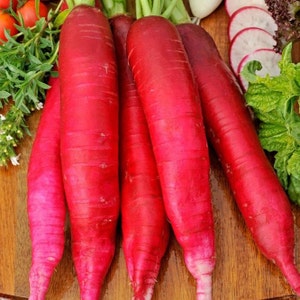 Radish Seeds Red Giant Ukraine Heirloom Vegetable Seeds #1314