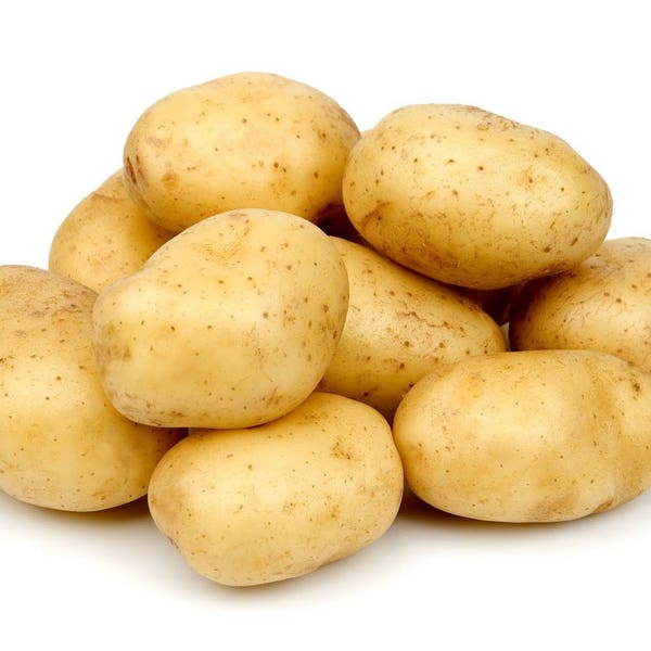 Potato Seeds Etsy