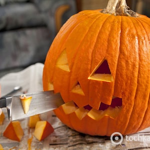 Pumpkin Seeds Halloween #1653