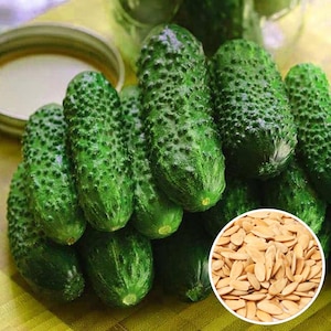 Könnte beinhalten: Nahaufnahme eines Stapels grüner Gurken. Die Gurken sind in einem Stapel angeordnet, wobei sich einige überlappen. Die Gurken sind alle frisch und grün und haben eine leicht unebene Textur.