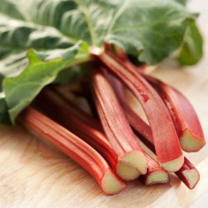Semi di bietola Hubarb