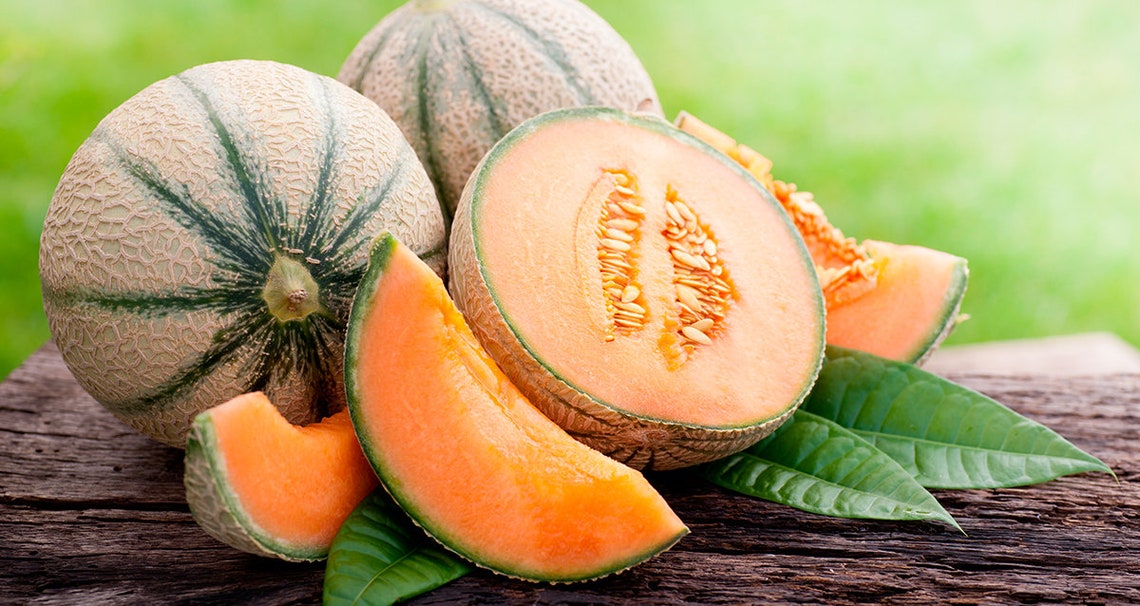 Melon Seeds EMIR F1. Extremely Sweet Etsy