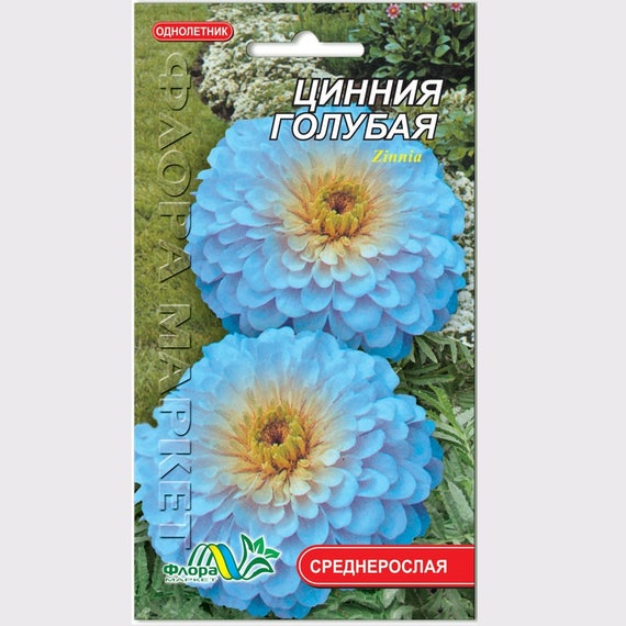 Zinnia haageana Blue Flower Seeds from Ukraine #764