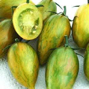 Tomato Seeds Green Tiger Vegetable Seeds