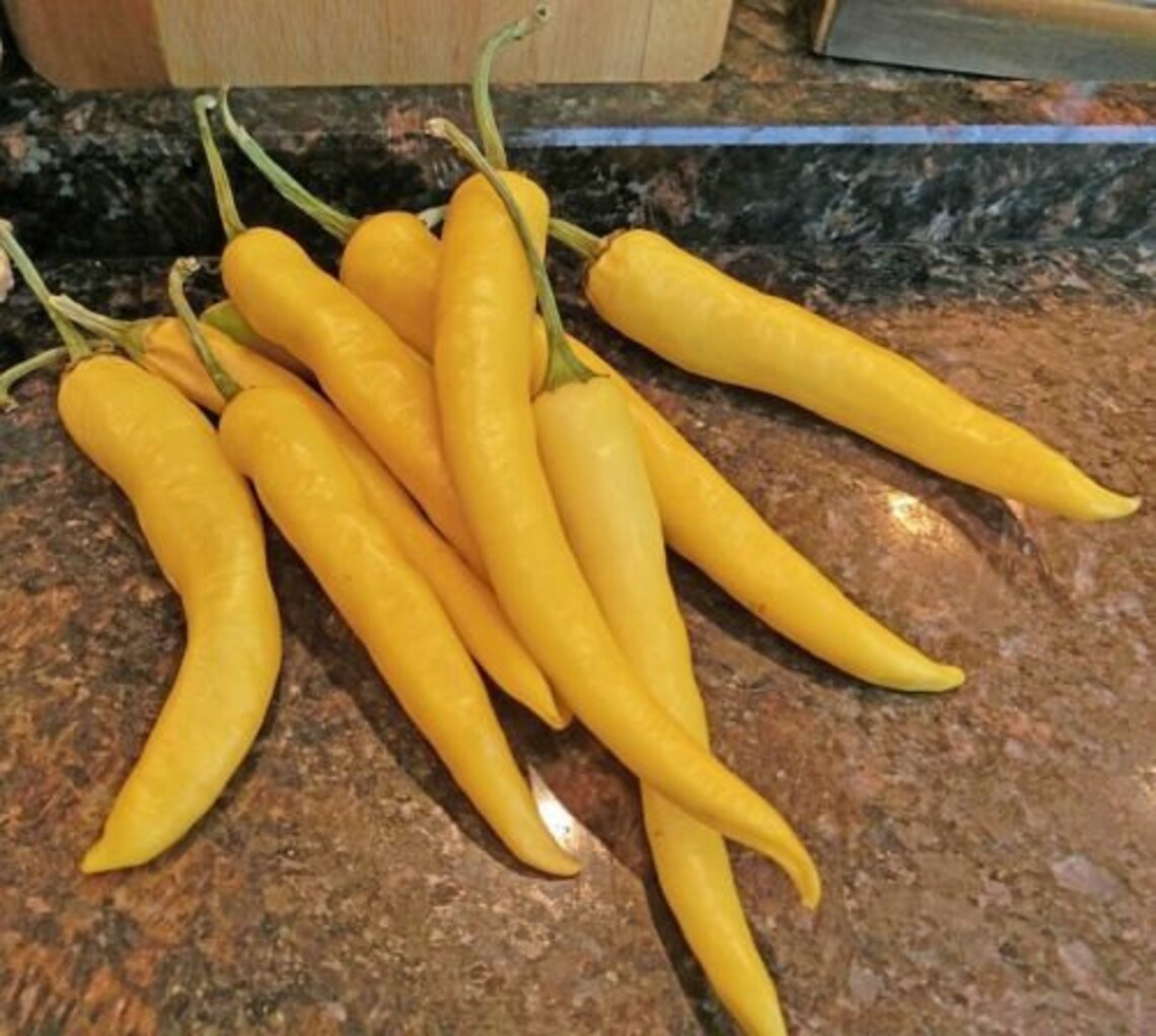 Hot Chili Pepper Seeds Golden Organic Vegetable Seeds Ukraine Etsy
