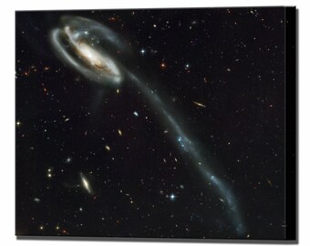 Tadpole Galaxy Hubble Space Telescope, Canvas Print Canvas Wall Art Print, Ready To Hang