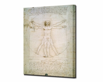 Vitruvian Man Canvas Art Print, Leonardo da Vinci, Ready to Hang