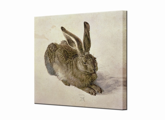The Young Hare Albrecht Durer Ready To Hang Canvas Wall Art Etsy