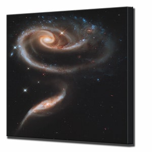 The Rose Galaxy, Hubble Space Telescope, Wall Decor Canvas Print Wall Art Print, Ready To Hang image 1