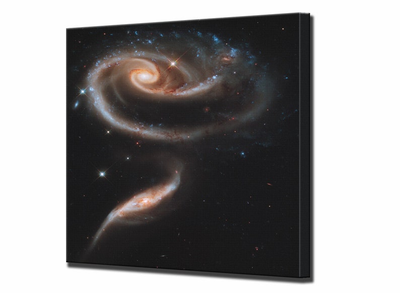 The Rose Galaxy, Hubble Space Telescope, Wall Decor Canvas Print Wall Art Print, Ready To Hang image 1