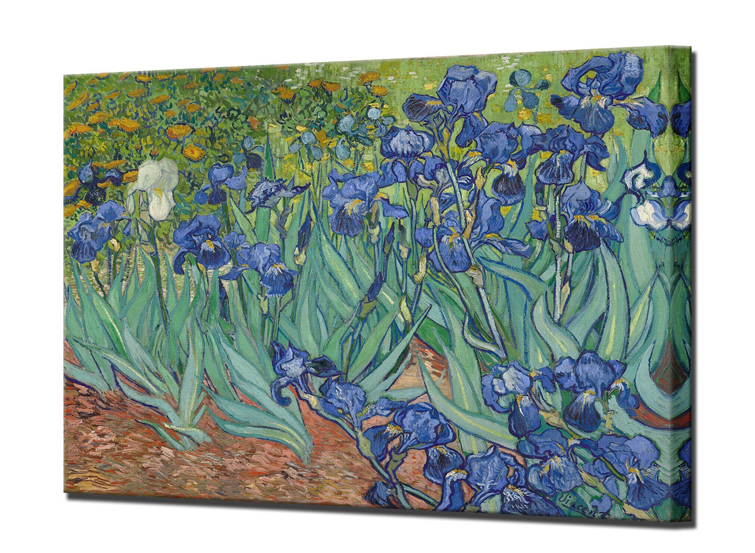 アイリス、ウォールアートプリントホームデコレーション、ヴィンセント