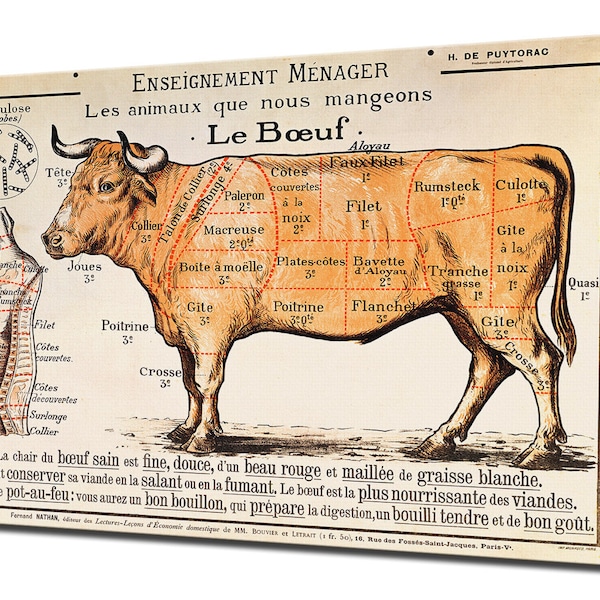 Cuts of Meat - Etsy