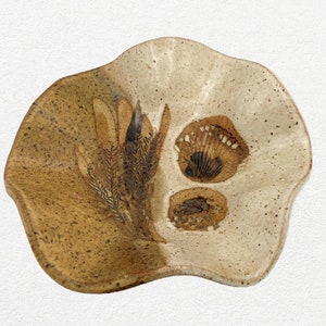 May include: A ceramic dish with a wavy edge and a brown and white speckled glaze. The dish has a design of a plant and two shells in the center.