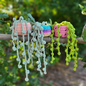 String of Pearls Crochet Plants, Plant Gift, Home Decor, Ready to Ship