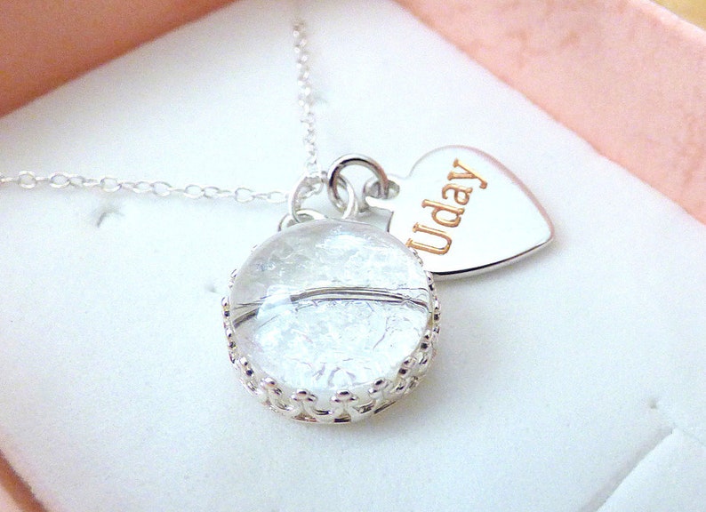 Mom Gift Breast Milk Placenta Ashes Hair Jewelry Silver Rose Etsy