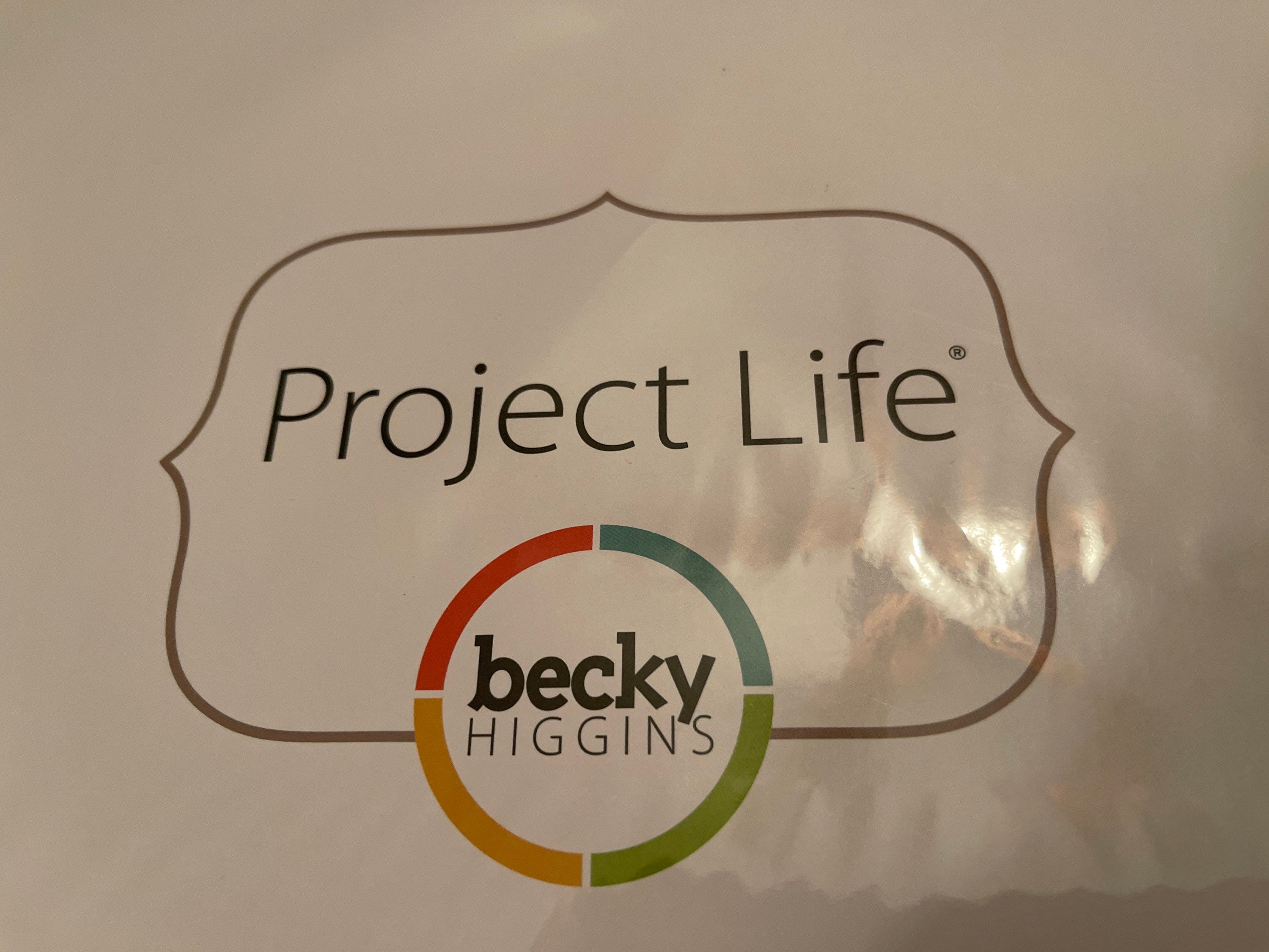 10x10 Page Protectors - Becky Higgins - Project Life Scrapbooking