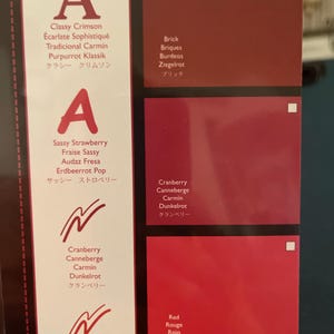 May include: A color palette featuring various shades of red, from deep brick to vibrant cranberry and classic red. Each color is labeled with its name in multiple languages, including English, French, Spanish, and Japanese.