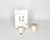 Tree Branch Photo Display Stands, Birch Wood Photo Holder, Set of 5, Wedding Placecard Holders, Rustic table number stand