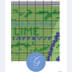 La Croix Needlepoint & Cross Stitch PDF Pattern / Design Guide - Etsy
