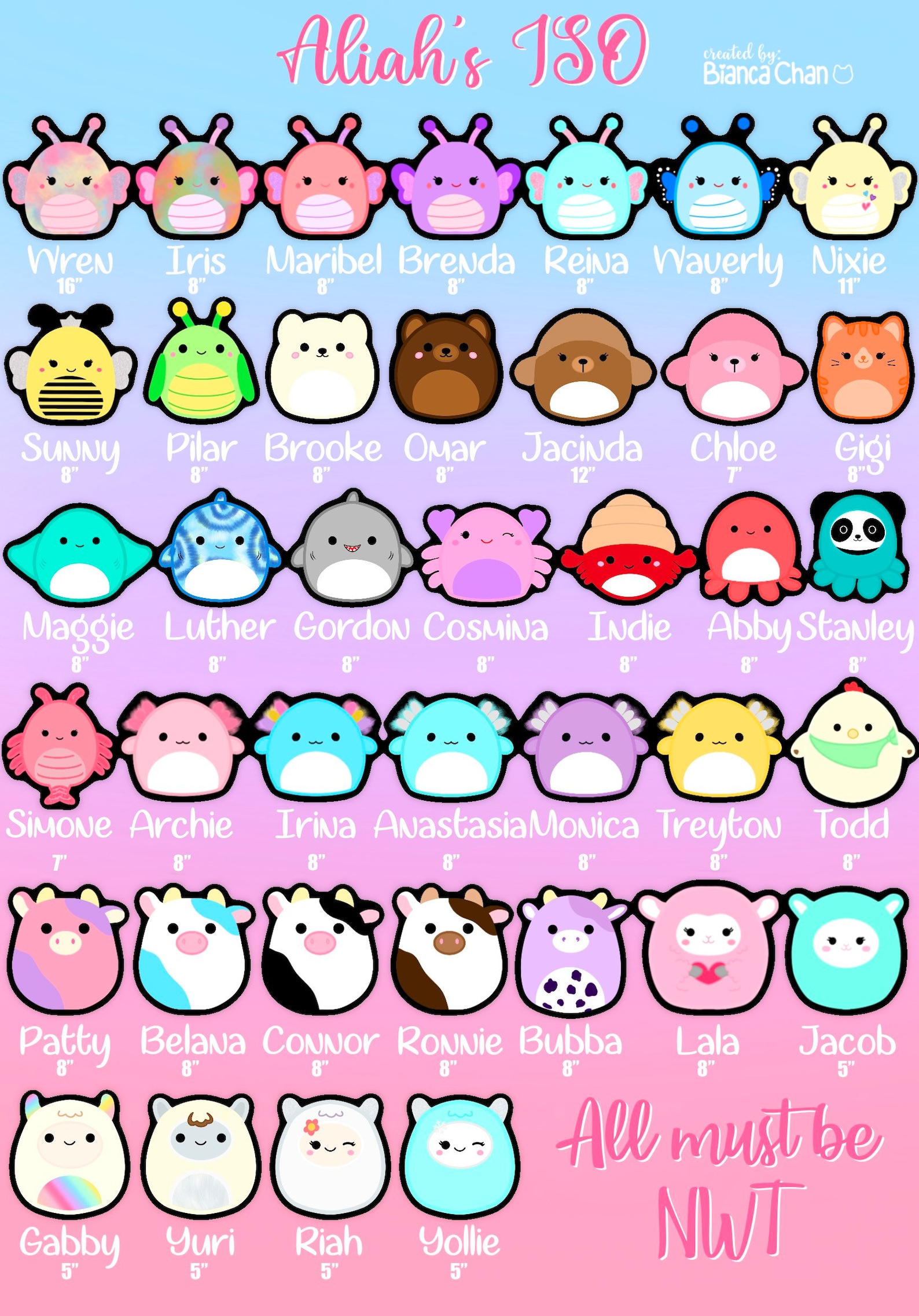 Custom Squishmallow ISO/DISO list Etsy