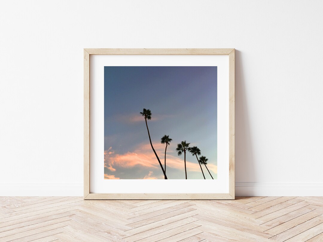 Cotton Candy Palm Trees Photography Print, Wall Art, Palm Tree Print