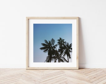 Palm Trees Print, Wall Art, Los Angeles California Print, Malibu Palm Trees Print [Palm Trees 2]