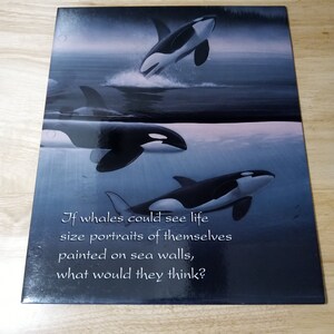 Siwiti A Whales Story Siwiti A Whales Story