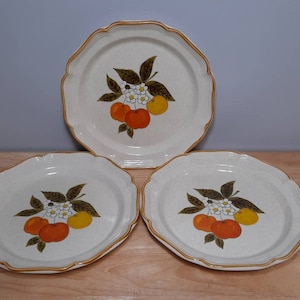 Vintage Mikasa Garden Club Delight Dinner Plates Set of 3