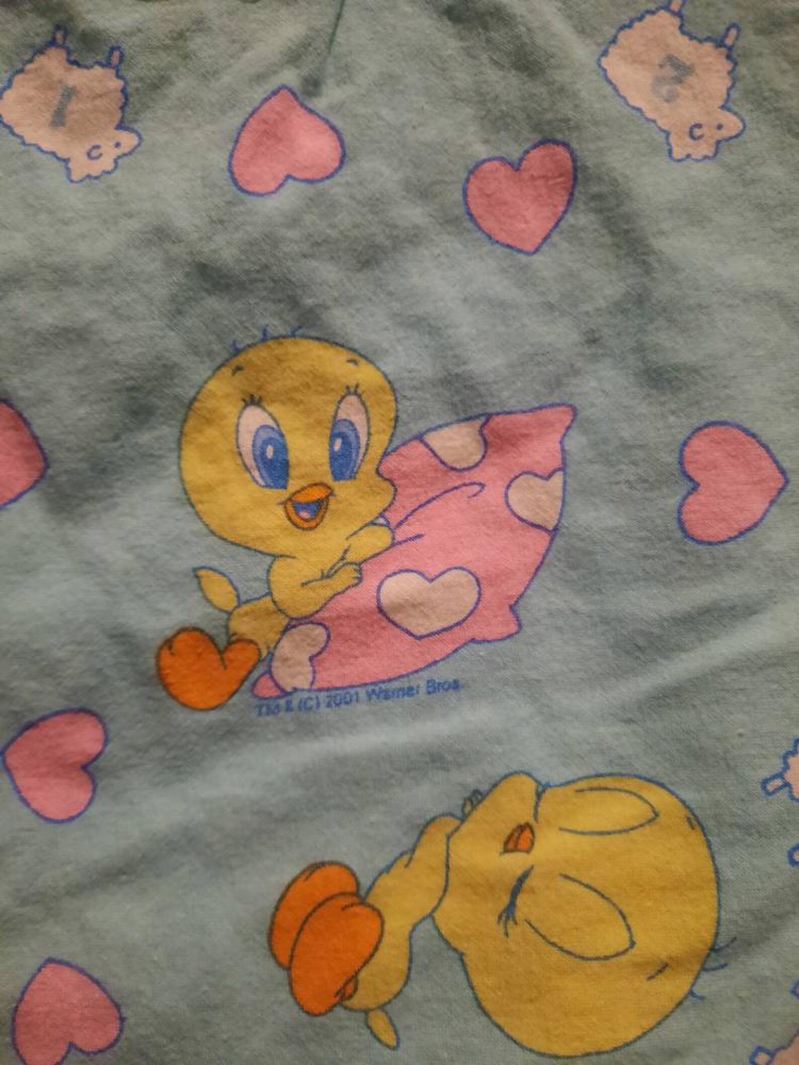 Vintage 2001 Tweety Bird Baby Blanket Etsy