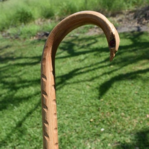 May include: A handcrafted wooden walking cane with a curved handle and a carved bird's head design. The cane is made of light brown wood and features a series of carved oval indentations along the shaft. A small red accent is visible on the bird's head.
