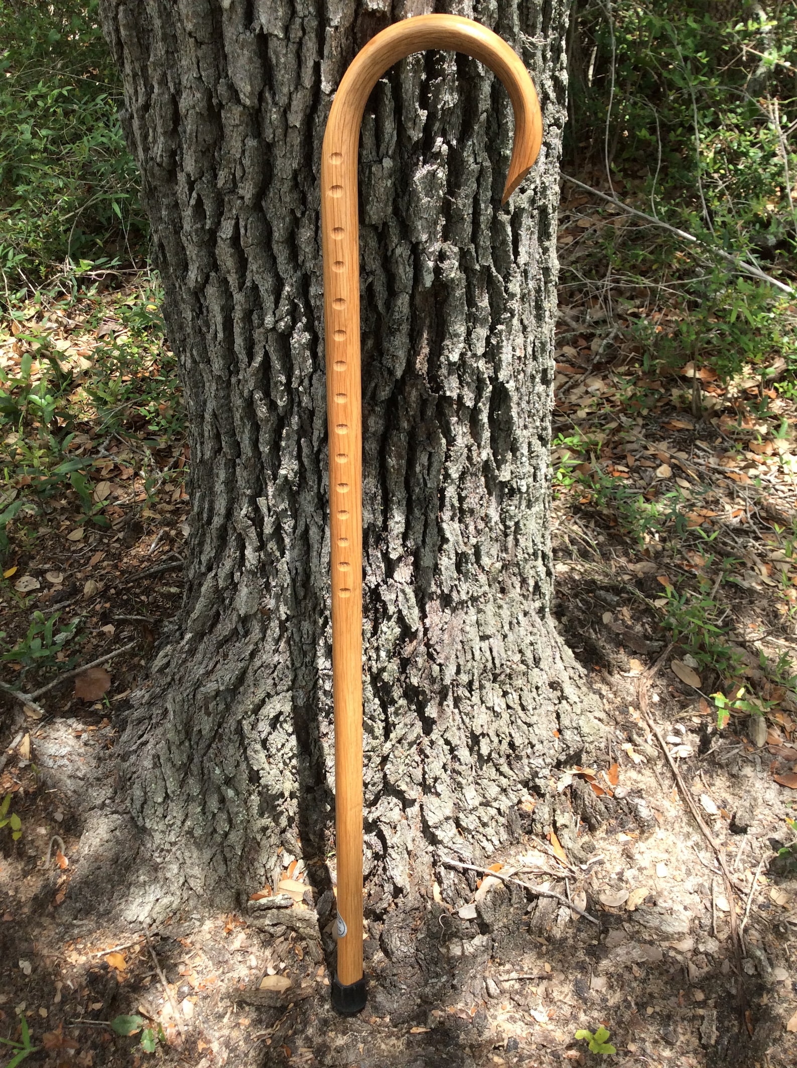 Martial Arts Training Cane and Free Cane Instruction DVD Etsy