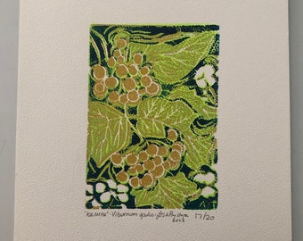 Ukrainian art original  Linocut print of Kalyna, Guelder Rose, original linoprinting green version