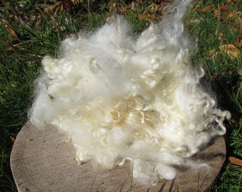 Border Leicester Locks Natural Ivory Wool Washed 1 oz